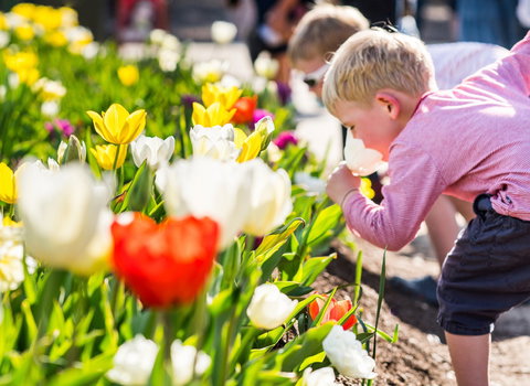 Floriade: Reimagined - New Castle Holiday 1