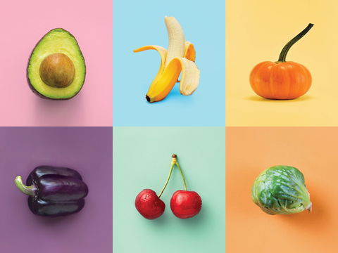 Food For Thought: Alternative Food Sources - New Castle Holiday 0