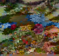 Glenrock Gardens Open Garden - New Castle Holiday