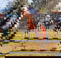 Glen Innes Pastoral and Agricultural Show - New Castle Holiday