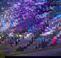 Grafton Jacaranda Festival - New Castle Holiday