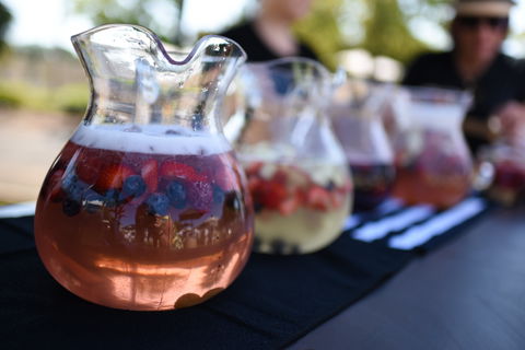 Griffith Spring Fest - LINX Launch Party - New Castle Holiday 2