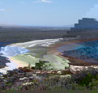 Head to Head Walk Run - New Castle Holiday