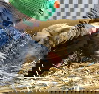 Horsham Agricultural Show - New Castle Holiday