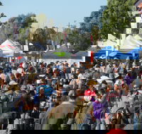 Hunter Valley Caravan Camping 4WD Fish and Boat Show - New Castle Holiday