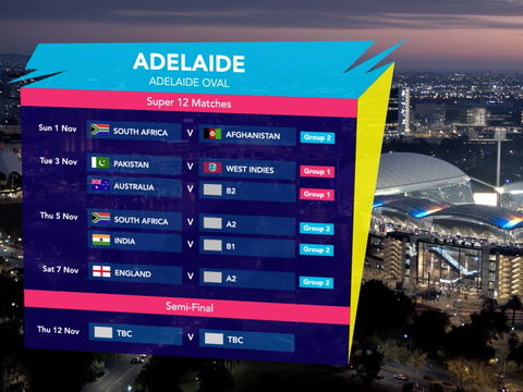 ICC Men's T20 World Cup - South Africa V Qualifier - New Castle Holiday 2