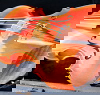 Kendall National Violin Competition Finals Weekend - New Castle Holiday