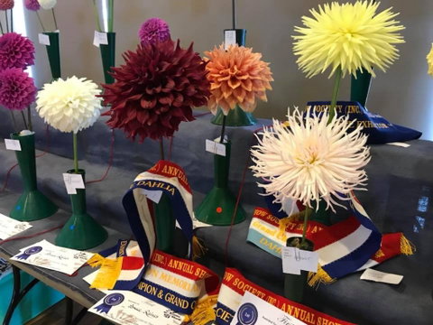 Kiama Show - New Castle Holiday 2