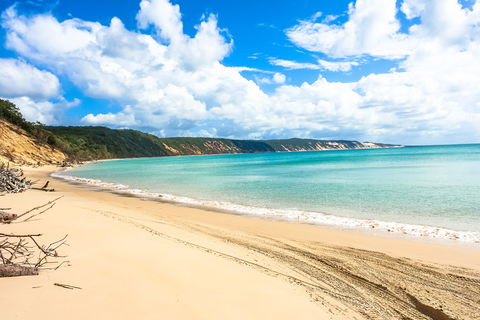 Longreach Leg - Beach To Reach 2020 - New Castle Holiday 2