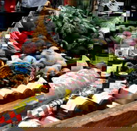 Manjimup Farmers Market - New Castle Holiday