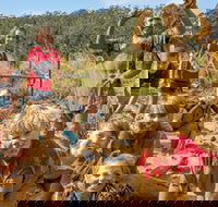 Mini Muddies Obstacle Challenge at Bunnamagoo Estate - New Castle Holiday