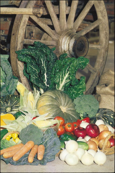 Mulgowie Real Farmers Markets - New Castle Holiday 0