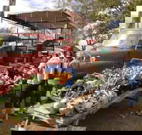 Murphys Creek Markets - New Castle Holiday