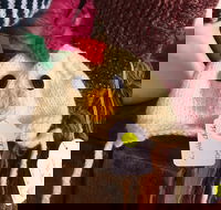 Murrindindi Beanie  Fibre Festival Online - New Castle Holiday