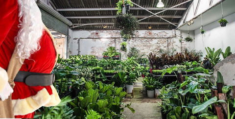 Newcastle - Huge Indoor Plant Warehouse Sale - Christmas Bonanza - New Castle Holiday 0