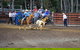 North Queensland Elite Rodeo - thumb 0