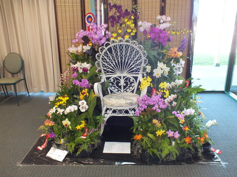 Orchids Out West - New Castle Holiday 0