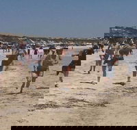 Perlubie Beach Sports Day - New Castle Holiday