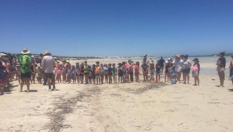 Perlubie Beach Sports Day - New Castle Holiday 1