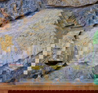 Peter Teakle Wines - New Castle Holiday