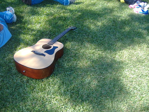 Rosewood Country Round Up Music Festival - New Castle Holiday 0