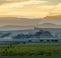 Rotary Club of Maffra Community Market - New Castle Holiday