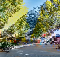 Springfield Markets - New Castle Holiday