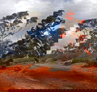 Sunraysia Safari Rally - New Castle Holiday