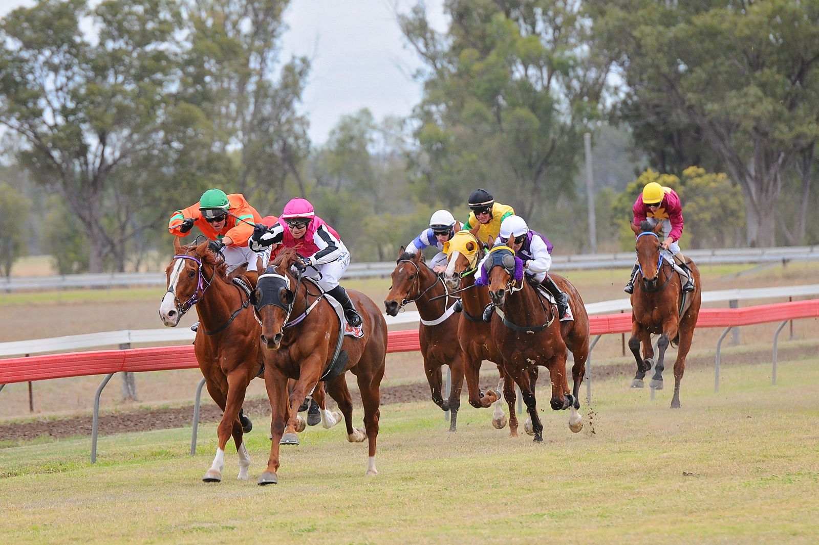 Lawgi Dawes QLD New Castle Holiday