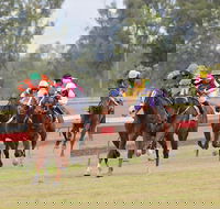 Thangool Races - New Castle Holiday