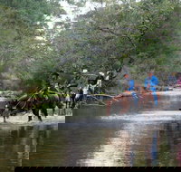 The Man From Snowy River Bush Festival - New Castle Holiday