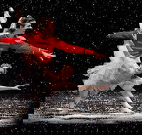The Nutcracker and Don Quixote - New Castle Holiday