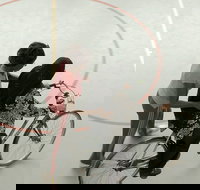 The Best of The Big Bike Film Night 2015-2019 - New Castle Holiday