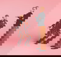 The Comedy of Errors - New Castle Holiday