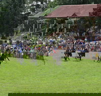 Tumut Boxing Day Races - New Castle Holiday