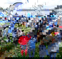 Twin Rivers Bream Classic - New Castle Holiday