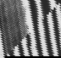 WA Now  Tom Mller Monolith Scores - New Castle Holiday