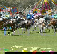 Wangaratta Show - New Castle Holiday