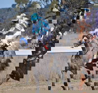 Wean Picnic Races - New Castle Holiday