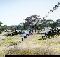 Weddin Mountain Muster - New Castle Holiday