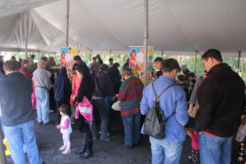 Wildflower Art And Garden Festival - New Castle Holiday 0
