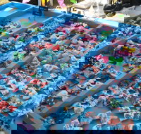 Wyee Markets - New Castle Holiday