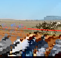 2020 Quorn Cup - New Castle Holiday