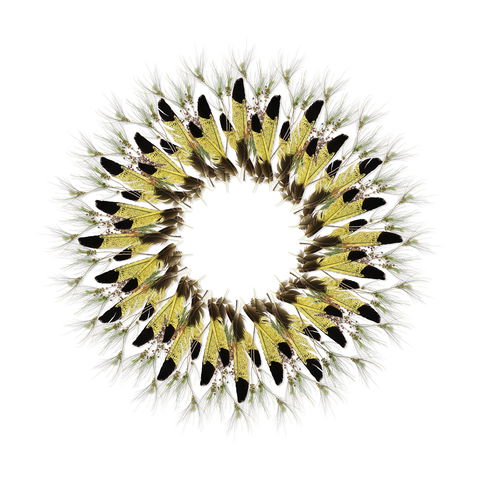Adelaide Parklands Art Prize  Finalists Exhibition & Sale 2020 - New Castle Holiday 1
