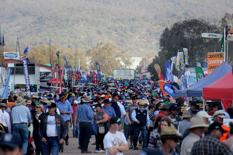 AgQuip - New Castle Holiday 1