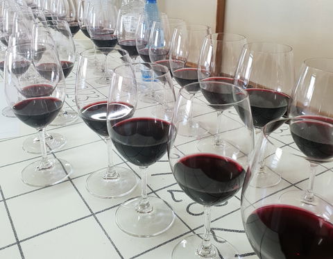 Australian Cool Climate Wine Show - New Castle Holiday 1