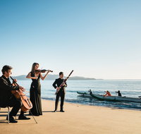Australian Festival of Chamber Music - New Castle Holiday