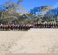 Australian Campdraft Association National Finals Campdraft 2021 - New Castle Holiday