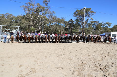 Australian Campdraft Association National Finals Campdraft 2021 - New Castle Holiday 0
