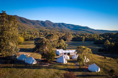 A Wild Night Out - Spring - New Castle Holiday 5